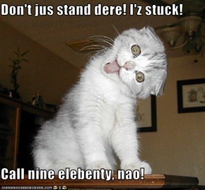 Don't jus stand dere! I'z stuck!  Call nine elebenty, nao!