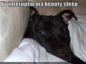 U'r interuptin ma beooty sleep.