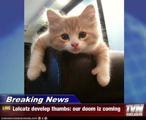 Breaking News - Lolcatz develep thumbs: our doom iz coming