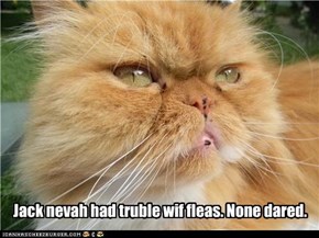 Jack nevah had truble wif fleas. None dared.