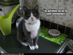 i be gud kitteh nao get me some cheezburgers
