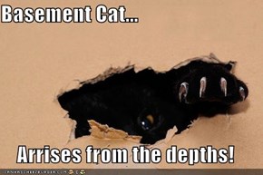 Basement Cat...  Arrises from the depths!