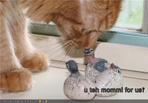 u teh mommi for us?
