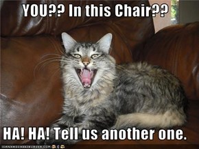 YOU?? In this Chair??  HA! HA! Tell us another one.