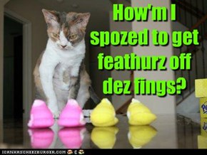 How'm I spozed to get feathurz off dez fings?