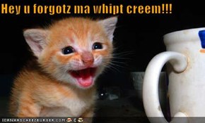 Hey u forgotz ma whipt creem!!!