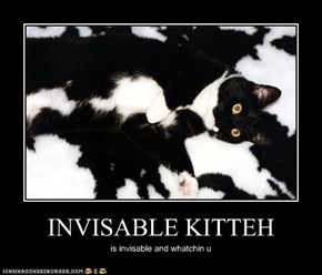 INVISABLE KITTEH