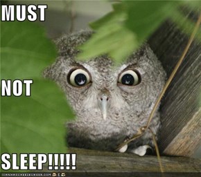 MUST NOT SLEEP!!!!!