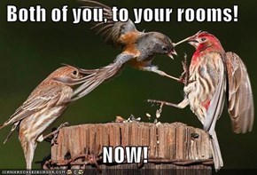 Both of you, to your rooms!  NOW!
