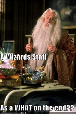 A Wizards Staff  As a WHAT on the end??