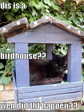 dis is a  birdhouse?? wen did tht happen??