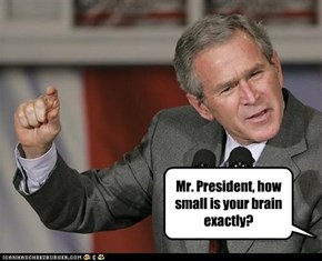 Mr. President, how small is your brain exactly?