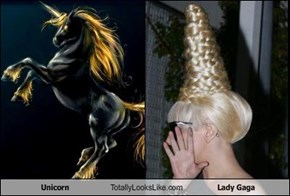 Unicorn Totally Looks Like Lady Gaga
