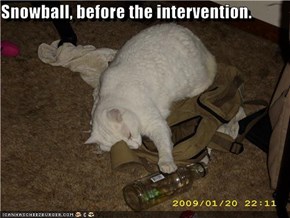 Snowball, before the intervention.