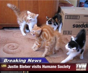 Breaking News - Justin Bieber visits Humane Society