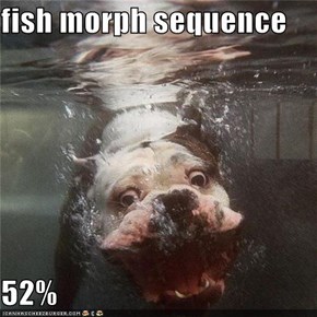Fish Morph Sequence  52%