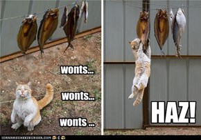 wonts...   wonts...   wonts ...