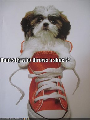Honestly who throws a shoe!?!