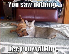 You saw nothing.  Keep on walking.