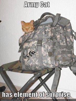 Army Cat  has element of surprise