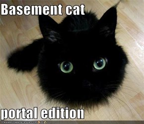 Basement cat  portal edition