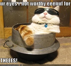 ur eyes r not worthy eeenuf for  THEEES!