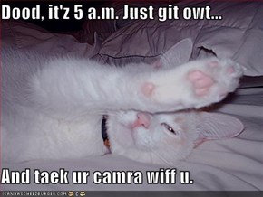 Dood, it'z 5 a.m. Just git owt...  And taek ur camra wiff u.