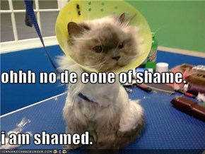 ohhh no de cone of shame. i am shamed.