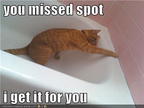 you missed spot   i get it for you