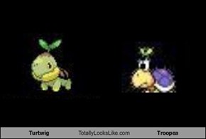 Turtwig Totally Looks Like Troopea