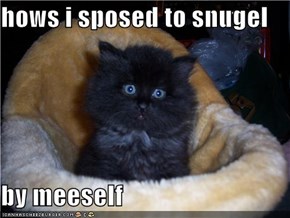 hows i sposed to snugel   by meeself