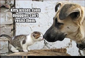 Kitty kisses