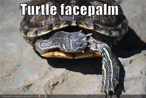 Turtle facepalm