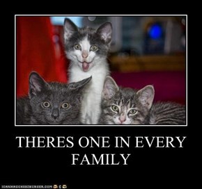 THERES ONE IN EVERY FAMILY