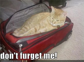 don't furget me!