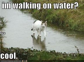 im walking on water? ... cool.