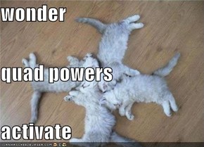 wonder quad powers  activate
