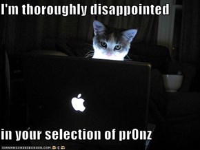 I'm thoroughly disappointed  in your selection of pr0nz