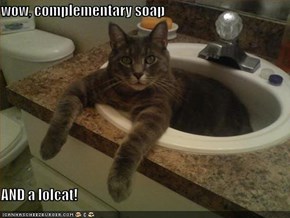 wow, complementary soap  AND a lolcat!