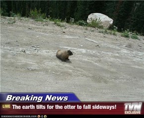 Breaking News - The earth tilts for the otter to fall sideways!