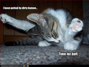 I been petted by dirty human...