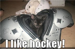 I like hockey!