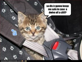 so dis iz gunna keepz me safe in case  u dwive off a cliff?