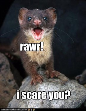rawr!