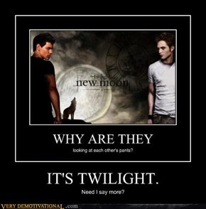 IT'S TWILIGHT.