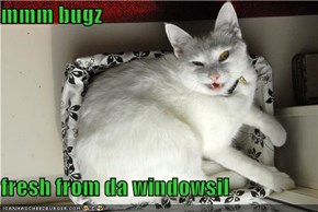 mmm bugz  fresh from da windowsil