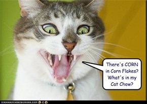 There's CORN in Corn Flakes?  What's in my Cat Chow?