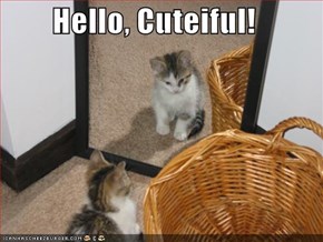 Hello, Cuteiful!