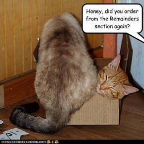 Honey, did you order from the Remainders section again?