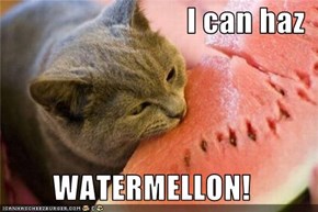 I can haz  WATERMELLON!